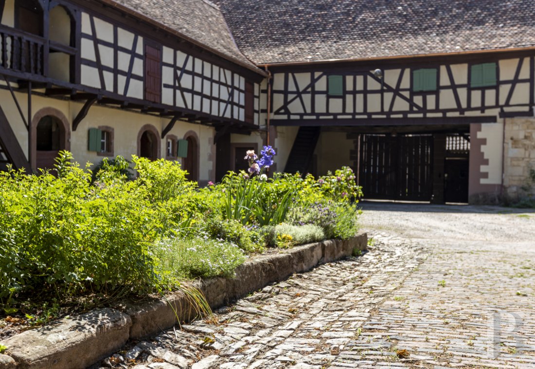 A former wine farm in the centre of Bouxwiller in Alsace, to the northwest of Strasbourg - photo  n°42
